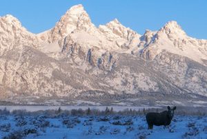 Fremont Orthopaedics, Fremont Orthopedics, Dr. Lamblin and Dr. Francisco. Lander and Riverton Wyoming.