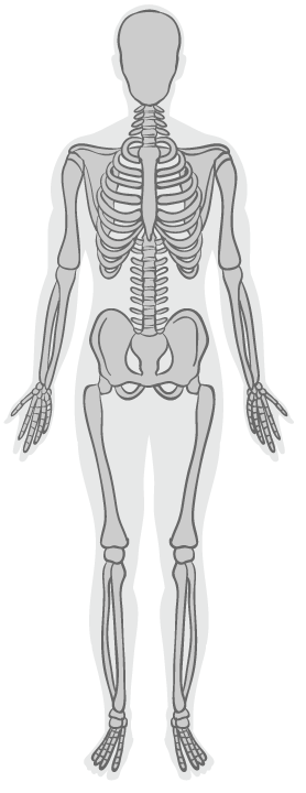 skeleton1