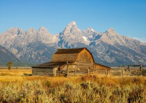 Jackson Hole Wyoming, Orthopedic Services